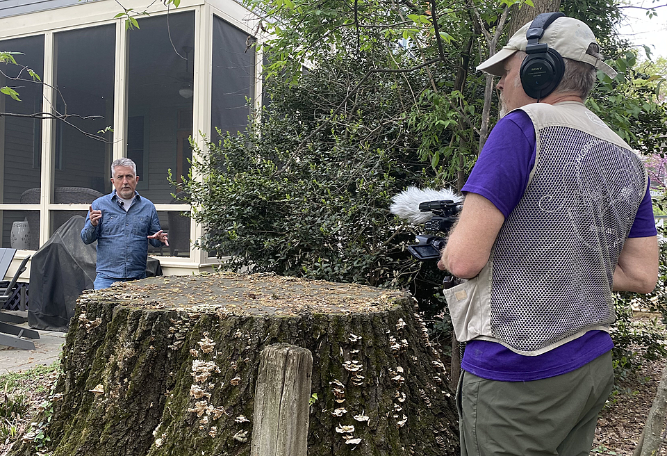 17bcc6c933df0e0bfa619eb7c27cc1ea