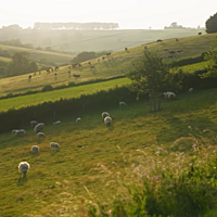 2b3672f4cb98adac821daacecc1c2a84