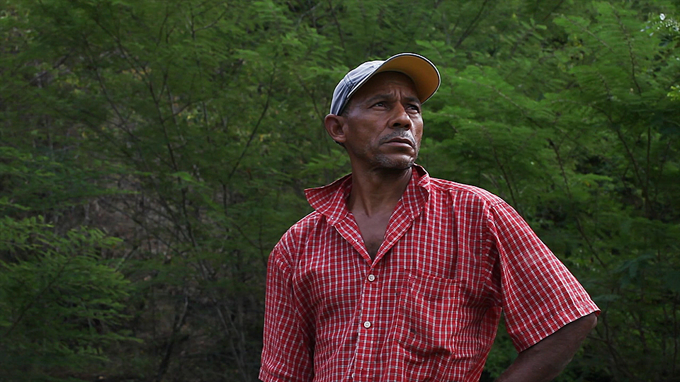 3caf6c34efba76612f65ed22b009cc45