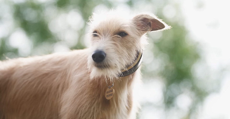 3d0d7f6397455bb1a5ae369349eaf4ed