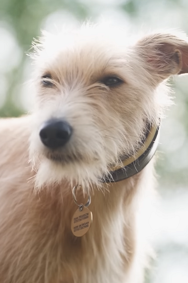 Nowness: Dan Pearson - Great Gardens