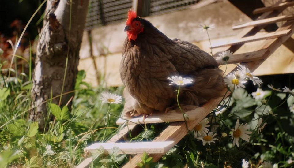 6b25d340e6332041f984cbb223395c06