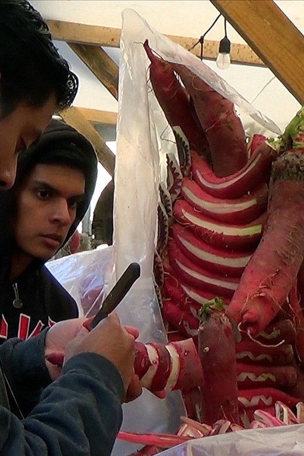 Four Days for the Night of the Radishes