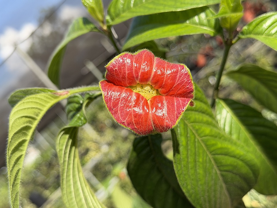 70abe2b725624ab4bf5ea325658d482e