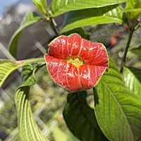 712871273c40bcaaa9469f33e6113aff