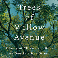 7145ab8a9e93f78dd7469b6c20ad7e09