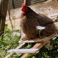 74b13d620e9a98d27be7d8a345b1eaee