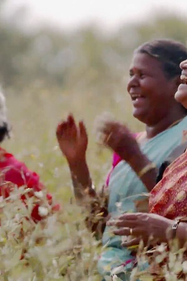 Race to Feed the World