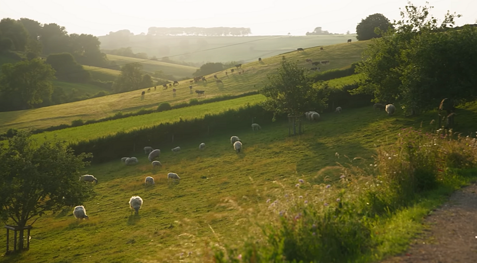 A1d9813221571a1dd53dcc4b2e339f5c