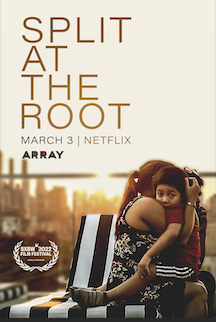 A1df757f24f6bf956662b0ead7e0adb5