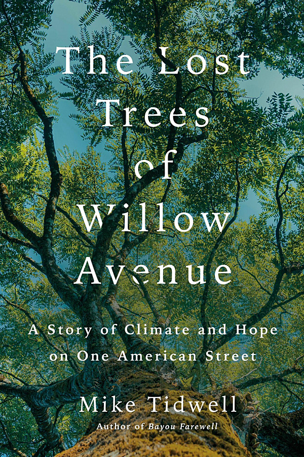 The Lost Trees of Willow Avenue